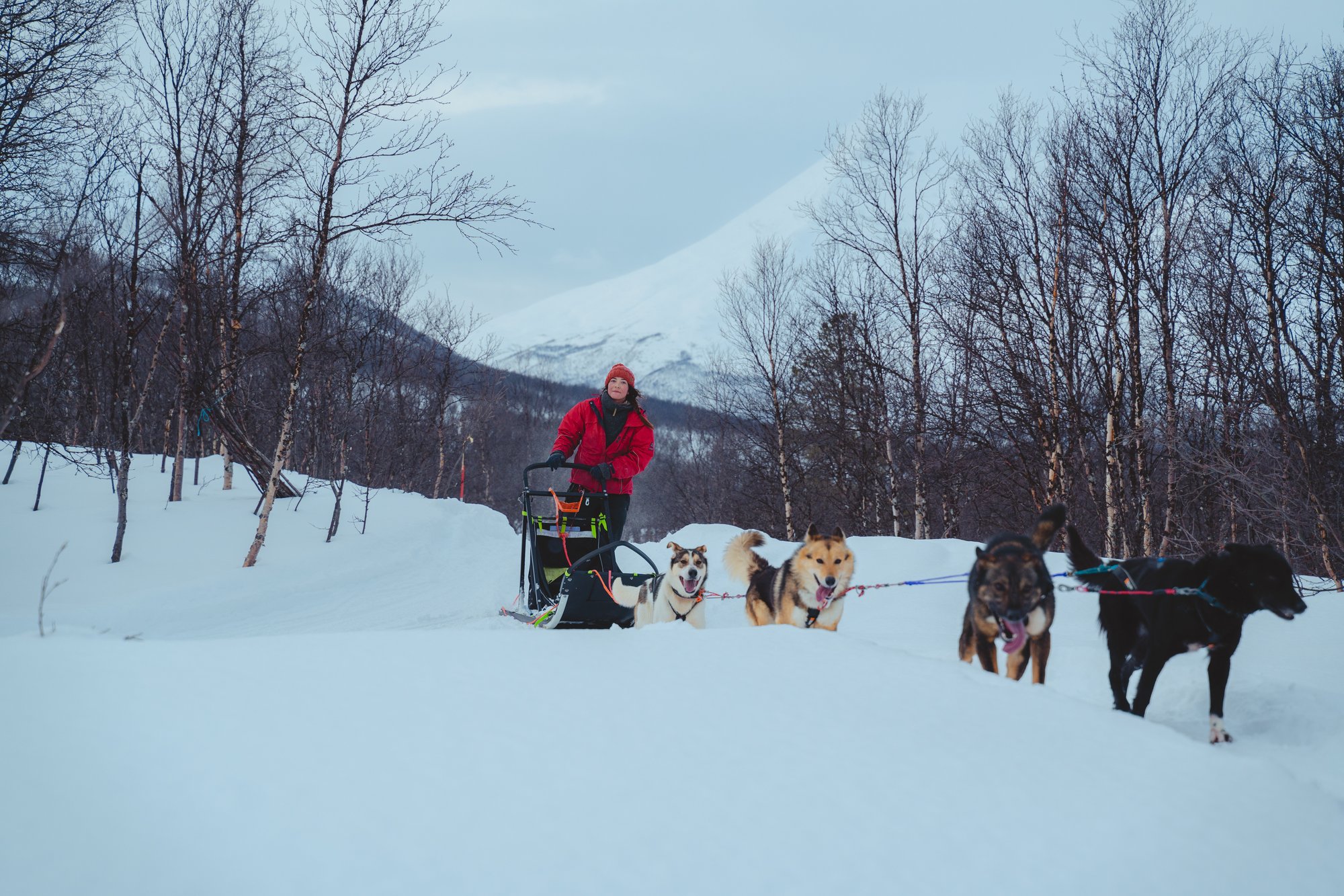 Babang_Husky_Camp_Tamok_Tromsø_Norway_Norwegian_Travel_DSC09533