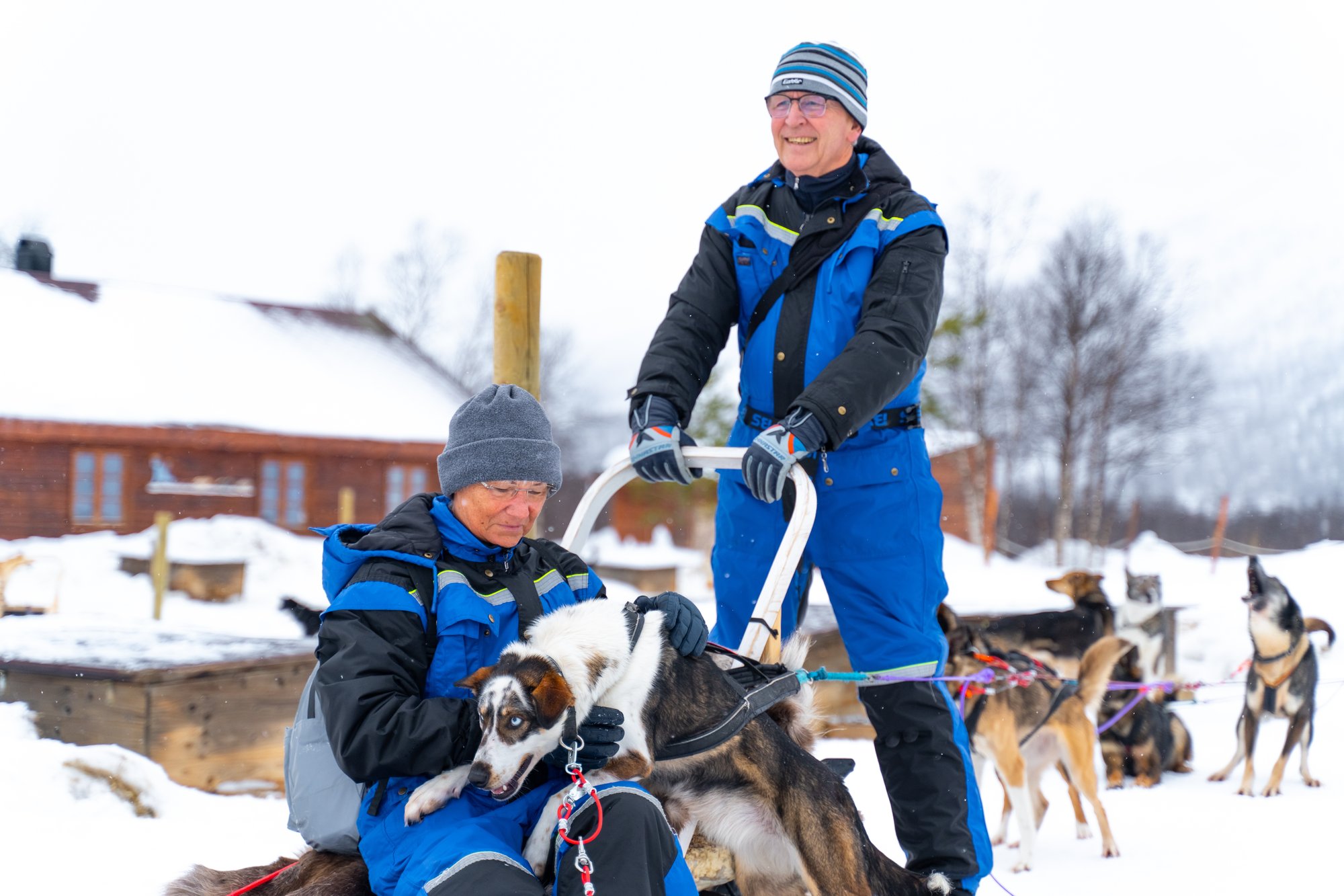 Babang_Husky_Tamok_Norway_NorwegianTravel _DSC00726