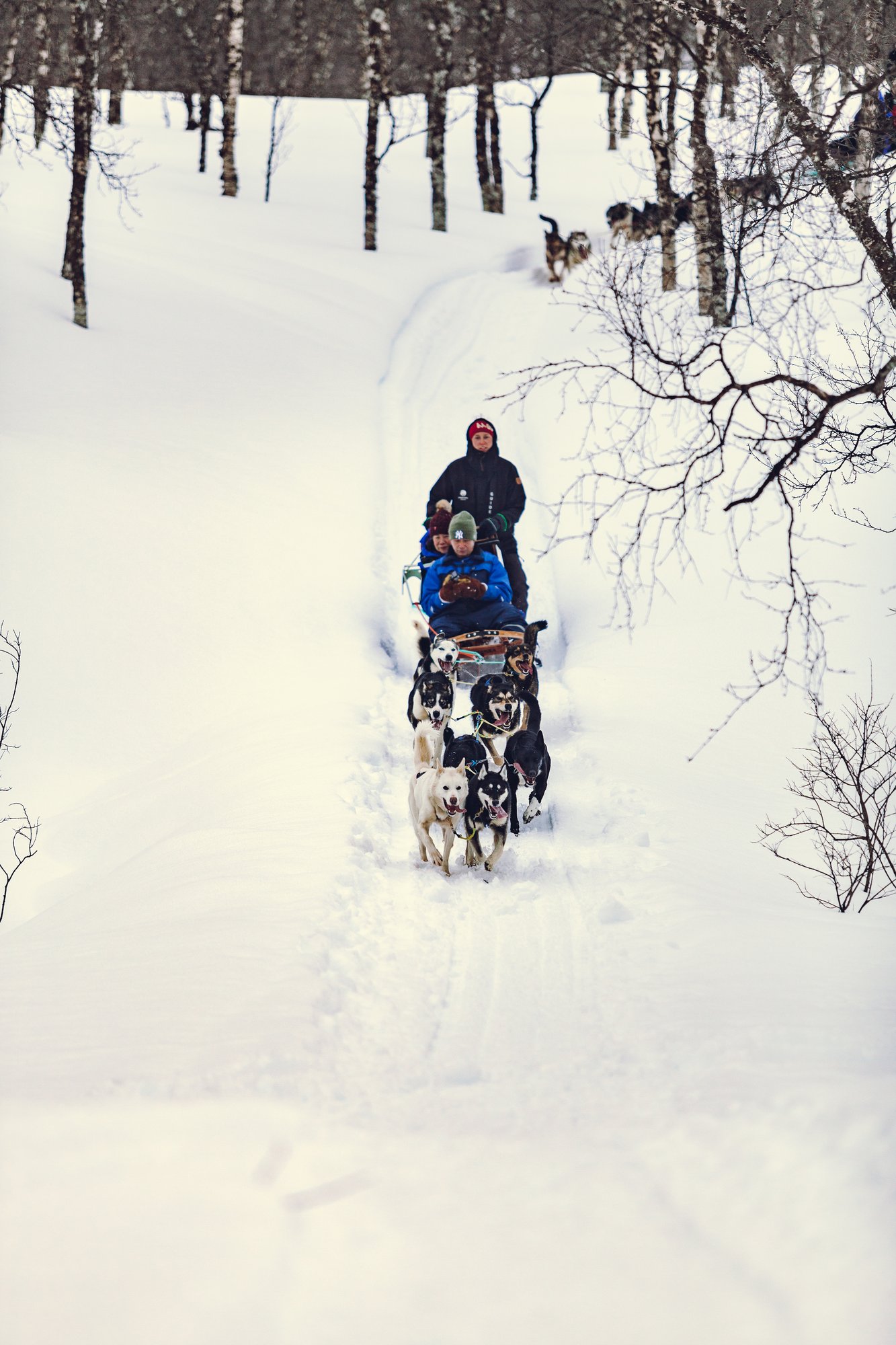 Husky_Camp_Tamok_Tromsø_Norway_Norwegian_Travel_IMG_0435