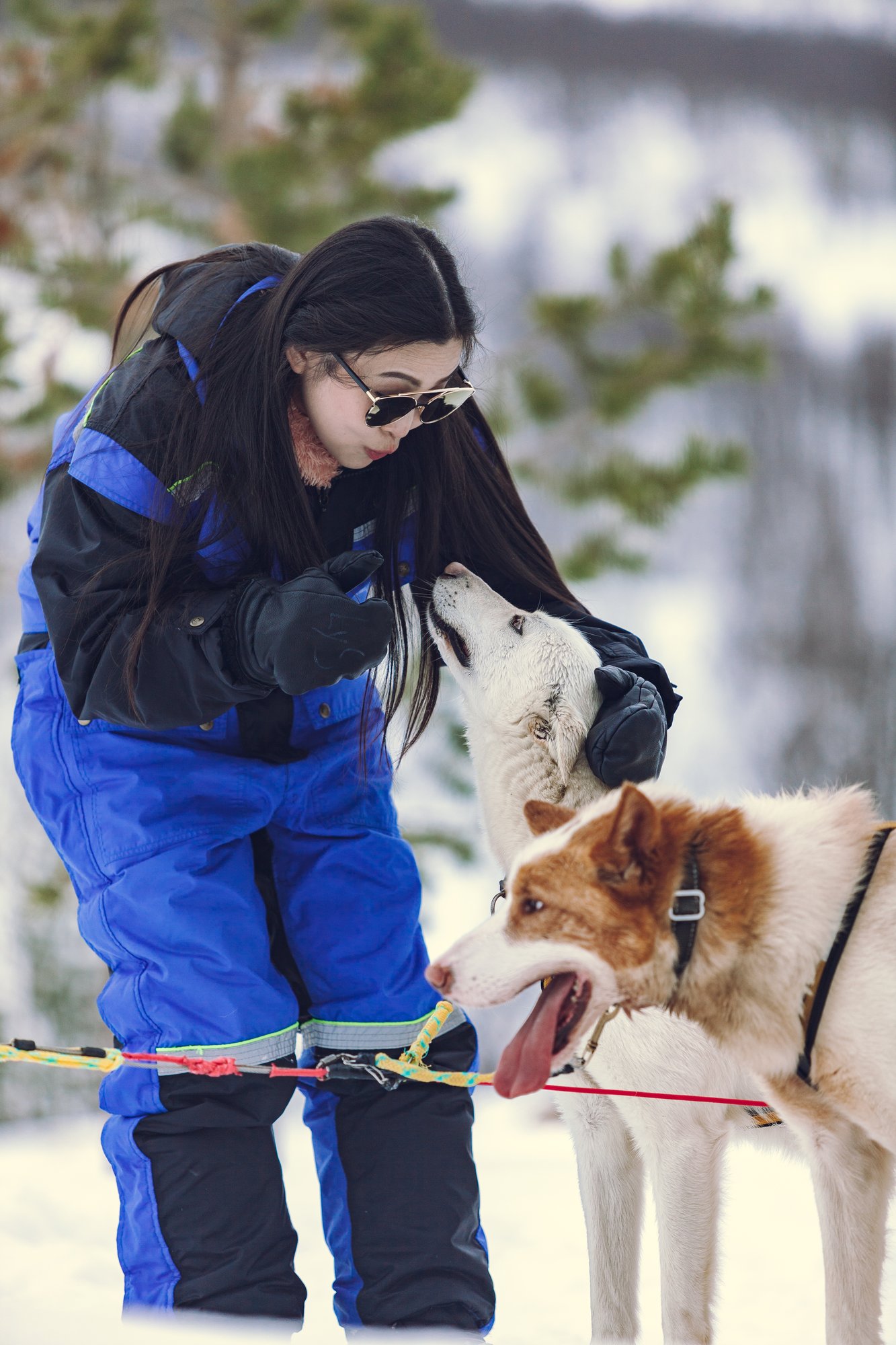 Husky_Camp_Tamok_Tromsø_Norway_Norwegian_Travel_IMG_0514