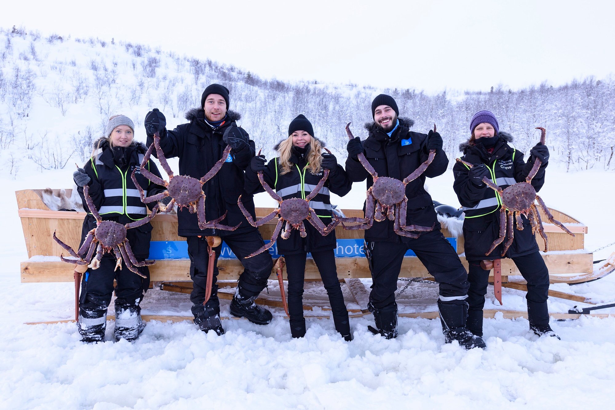 Kirkenes_KingCrab_Norway_Norwegian_Travel_King crab safari winter copy