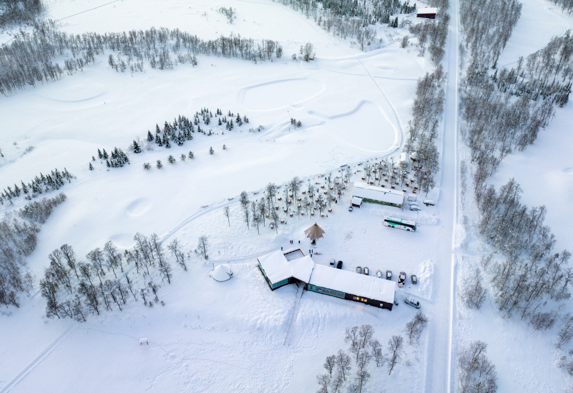 Babang_Aurora_Alps_Husky_Norway_Norwegian_Travel_2