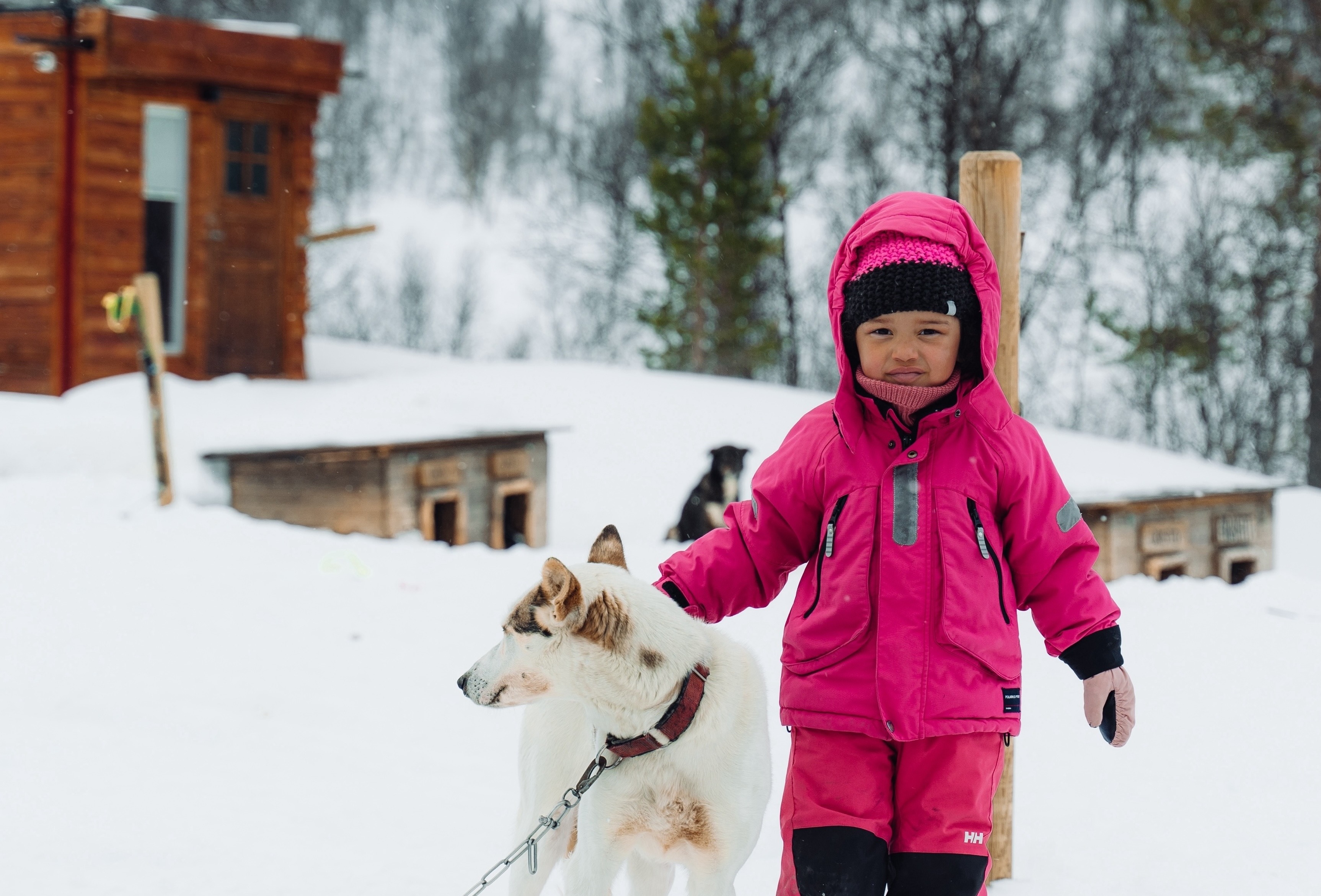 Babang_Husky_Camp_Tamok_Tromsø_Norway_Norwegian_Travel_DSC0