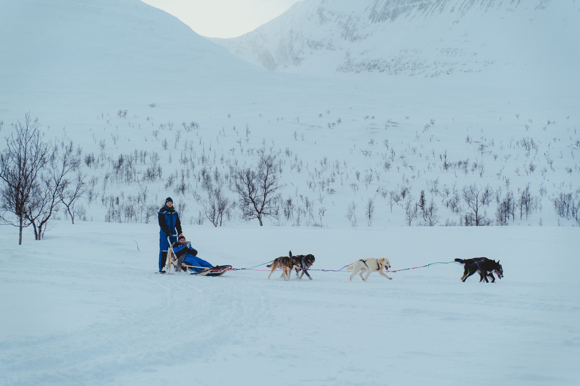Babang_Husky_Camp_Tamok_Tromsø_Norway_Norwegian_Travel_DSC09441.jpg  copy