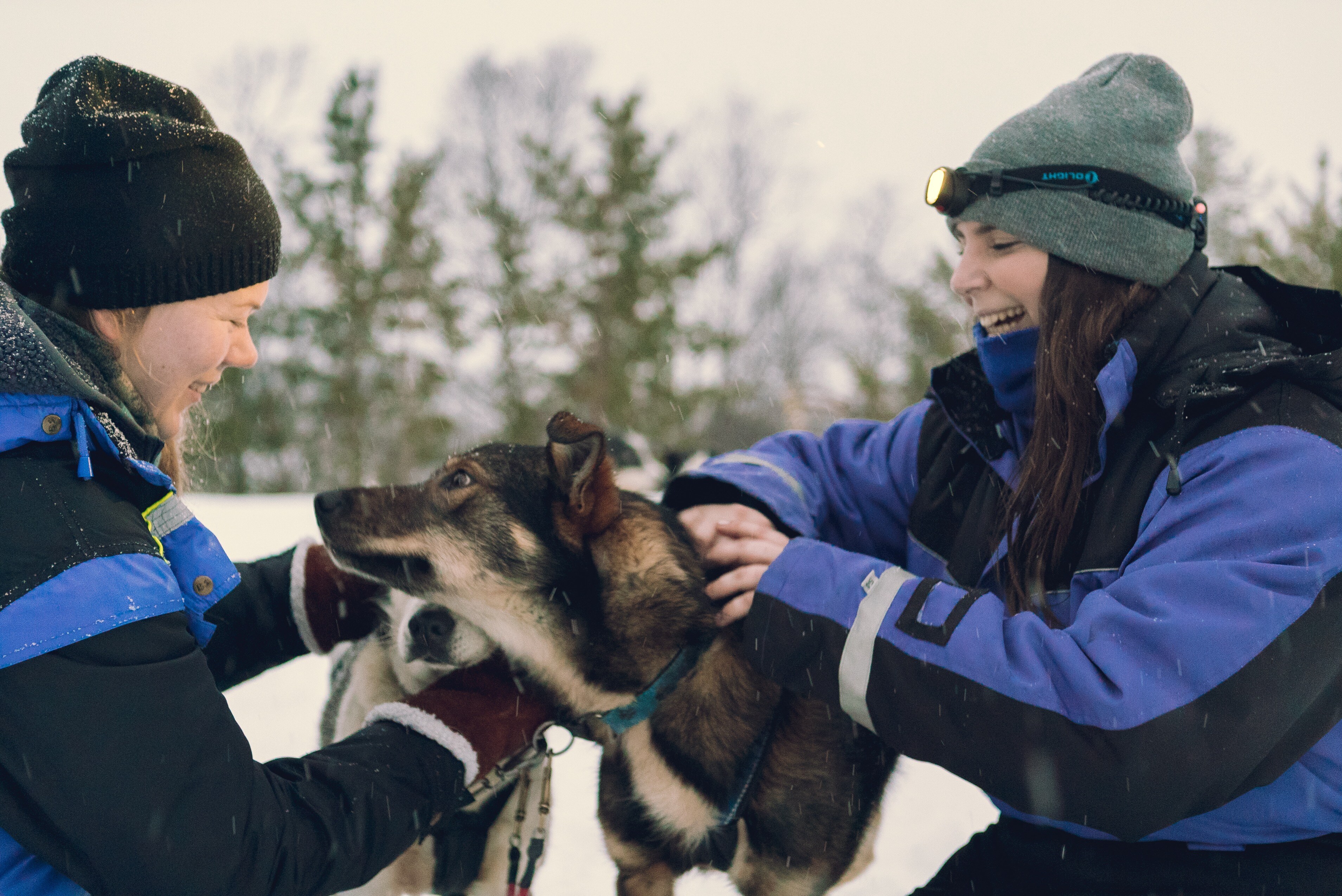 Husky_Camp_Tamok_Tromsø_Norway_Norwegian_Travel_DSC06789