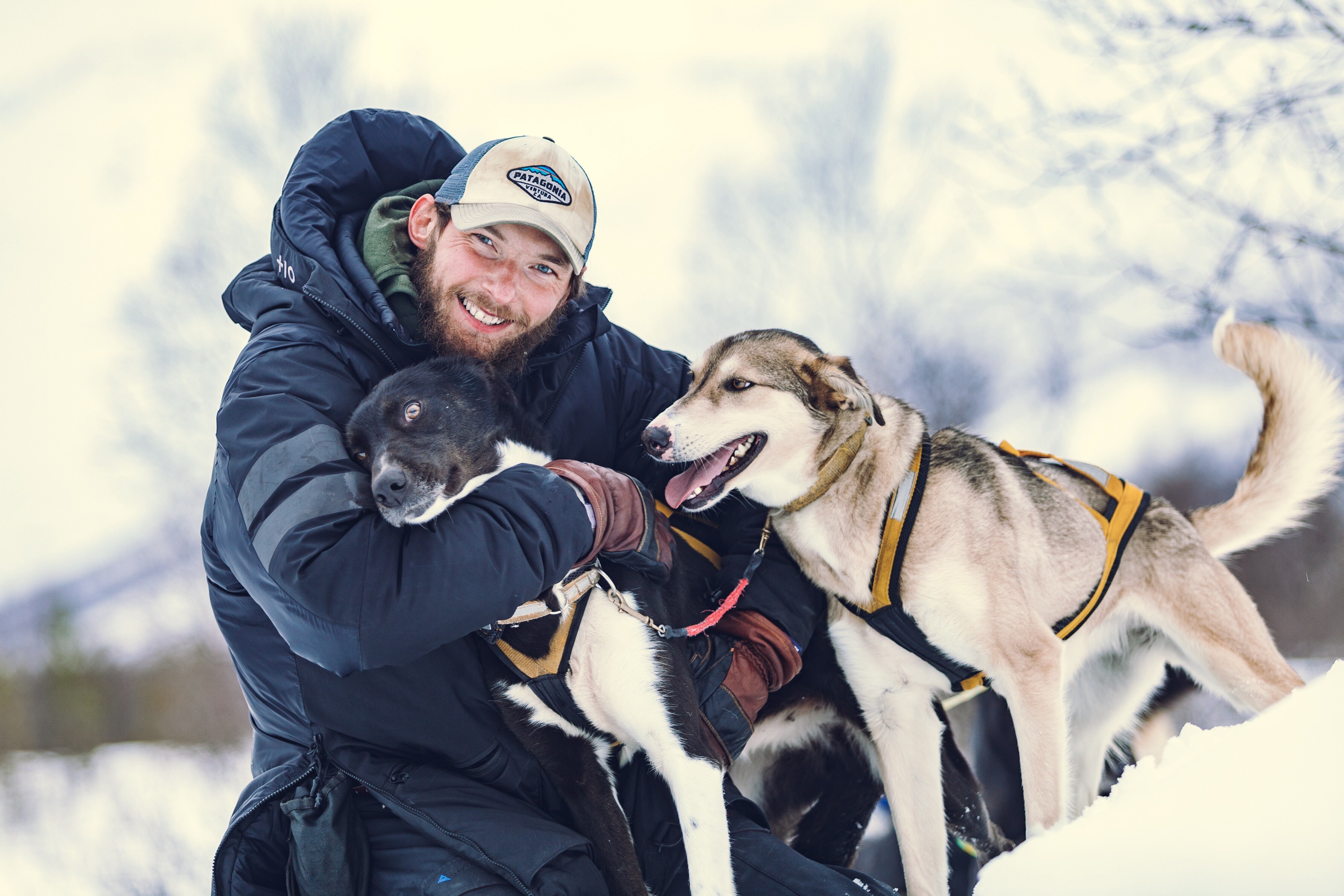 Husky_Camp_Tamok_Tromsø_Norway_Norwegian_Travel_IMG_0595